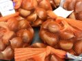 コラム：サムネイル画像