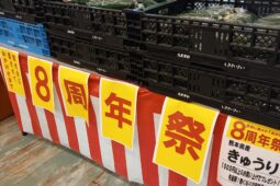 コラム：サムネイル画像